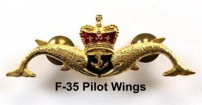 f35 pilot wings.jpeg
